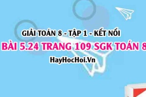 Giải bài 5.24 trang 109 Toán 8 Tập 1 SGK Kết nối tri thức